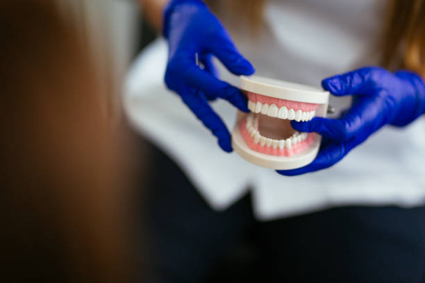 Trusted Womelsdorf, PA Holistic Dental Care Services Experts